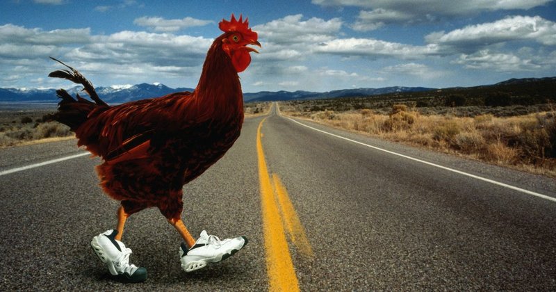 Descubre el Juego de Azar de la Ruta del Pollo en España y Ganancias, chicken road casino