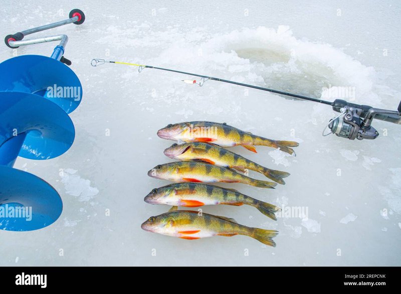 Learn about ice fishing gambling game